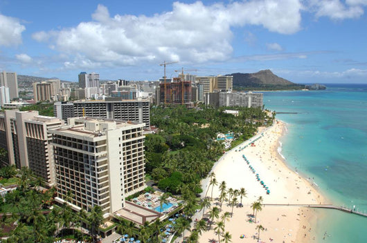 Looking out across Waikiki Wall Decal