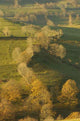 Autumn Landscapes Wall Decal