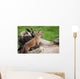 Red Fox Countryside Wall Decal