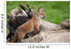 Red Fox Countryside Wall Decal