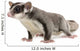 Sugar Glider Petaurus Breviceps Wall Decal Design 3
