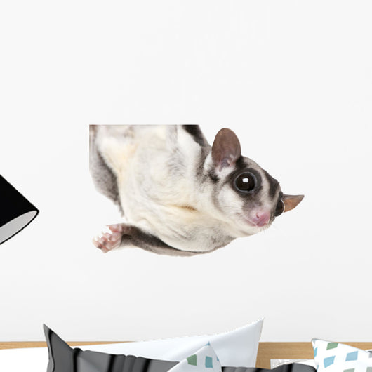 Sugar Glider Wall Decal