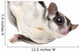 Sugar Glider Wall Decal