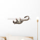 Sugar Glider Petaurus Breviceps Wall Decal Design 2