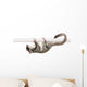 Sugar Glider Petaurus Breviceps Wall Decal Design 2