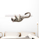 Sugar Glider Petaurus Breviceps Wall Decal Design 2