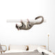Sugar Glider Petaurus Breviceps Wall Decal Design 2