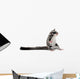 Sugar Glider Petaurus Breviceps Wall Decal Design 1