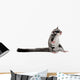 Sugar Glider Petaurus Breviceps Wall Decal Design 1
