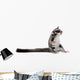 Sugar Glider Petaurus Breviceps Wall Decal Design 1