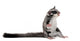 Sugar Glider Petaurus Breviceps Wall Decal Design 1