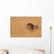 Male Lion Serengeti Wall Decal