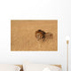 Male Lion Serengeti Wall Decal