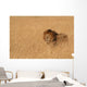 Male Lion Serengeti Wall Decal