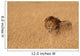 Male Lion Serengeti Wall Decal