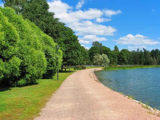 Park with Lake Wall Decal