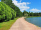 Park with Lake Wall Decal