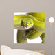 Green Tree Python Wall Decal