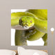 Green Tree Python Wall Decal