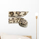 Carpet Python Morelia Spilota Wall Decal