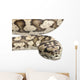 Carpet Python Morelia Spilota Wall Decal
