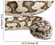 Carpet Python Morelia Spilota Wall Decal