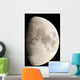 Moon from Home Wall Decal