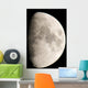 Moon from Home Wall Decal