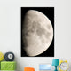 Moon from Home Wall Decal