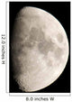 Moon from Home Wall Decal