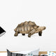 African Spurred Tortoise Wall Decal