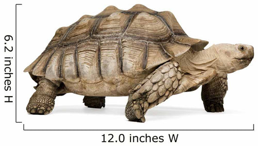 African Spurred Tortoise Wall Decal