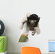 Young Crowned Sifaka Wall Decal
