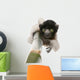 Young Crowned Sifaka Wall Decal