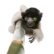 Young Crowned Sifaka Wall Decal