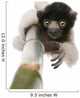 Young Crowned Sifaka Wall Decal