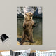 Braunbr1 Wall Decal