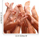 Beautiful Female Slim Feet Wall Decal