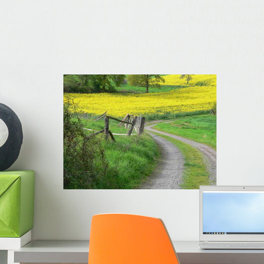 P1010122jpg Wall Decal