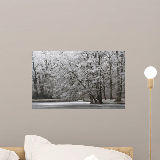 For Angels Wall Decal