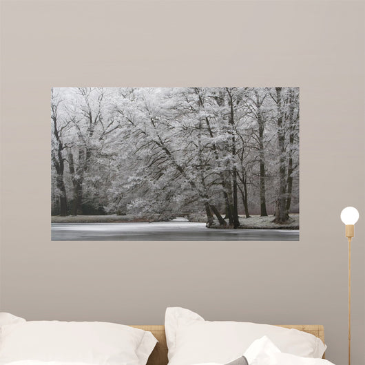 For Angels Wall Decal