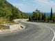 Crook Road Wall Decal