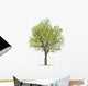 Walnut Tree Wall Decal