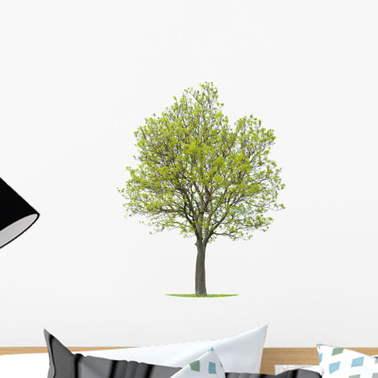 Walnut Tree Wall Decal
