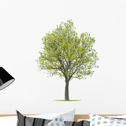 Walnut Tree Wall Decal