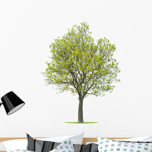 Walnut Tree Wall Decal