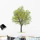 Walnut Tree Wall Decal