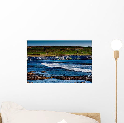 Doolin Wall Decal