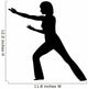 Tai Chi Wall Decal