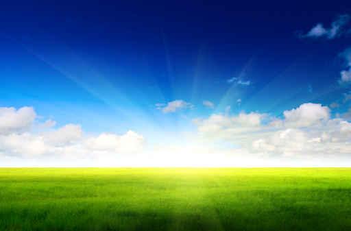Green Field and Sky Wall Decal
